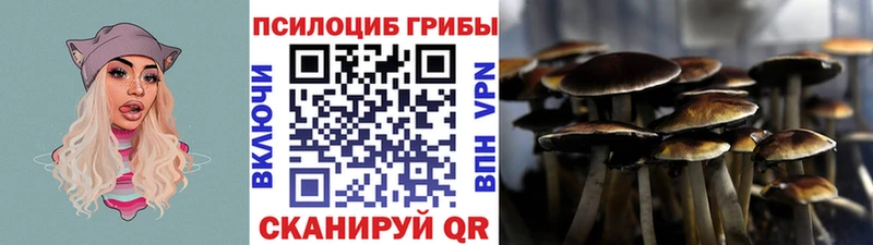 Галлюциногенные грибы Cubensis Бакал