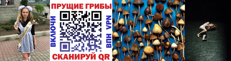Галлюциногенные грибы Magic Shrooms  ОМГ ОМГ маркетплейс  Бакал 