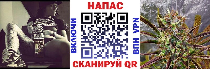 МАРИХУАНА план Бакал